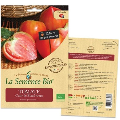 20 graine de tomate COEUR DE BOEUF BIO variété facile rustique abondante gros fr 