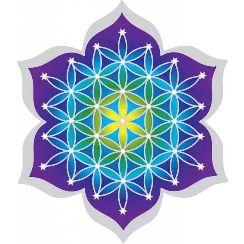 Attrape-soleil Fleur de Vie avec 7 cristaux colorés