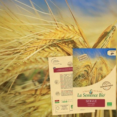 Graines Seigle Fourrager BIO - La Semence Bio