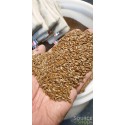 Coussin bouillotte BIO en graines de lin - Artisanal & Français