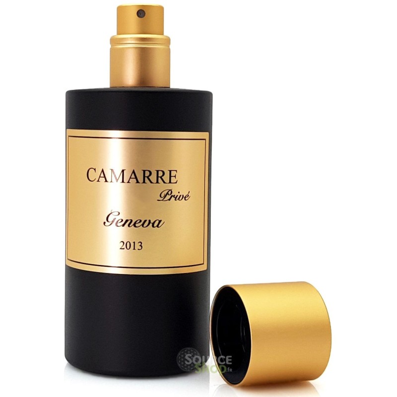 Parfum Geneva 2013 senteur Gris - 50ml - Générique - Collection Privée
