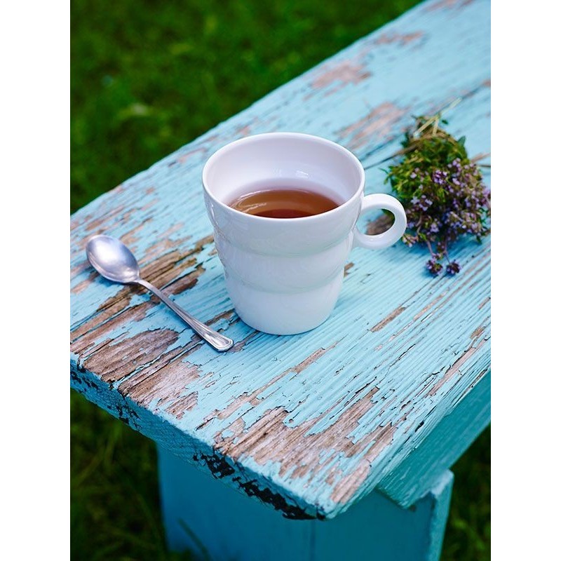 Filtre à thé bleu pour mug • Nature & Découvertes Suisse