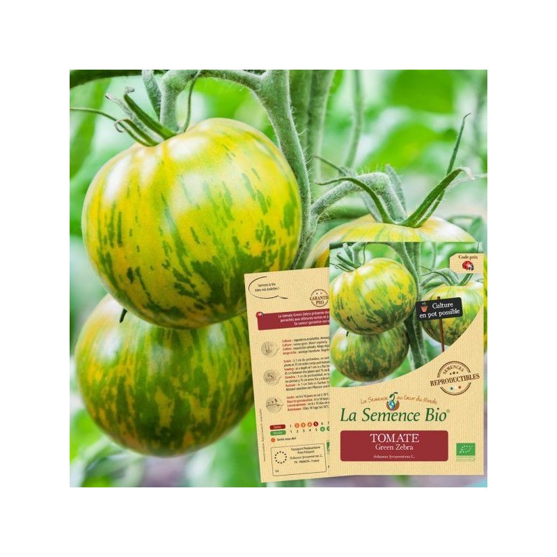 Graines Tomate Green Zebra BIO - La Semence Bio