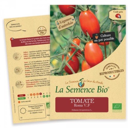 Graines Tomate Roma VF BIO - La Semence Bio