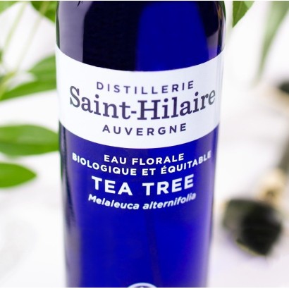 Hydrolat d'arbre à thé BIO (Tea Tree) - 200ml - Distillerie Saint-Hilaire