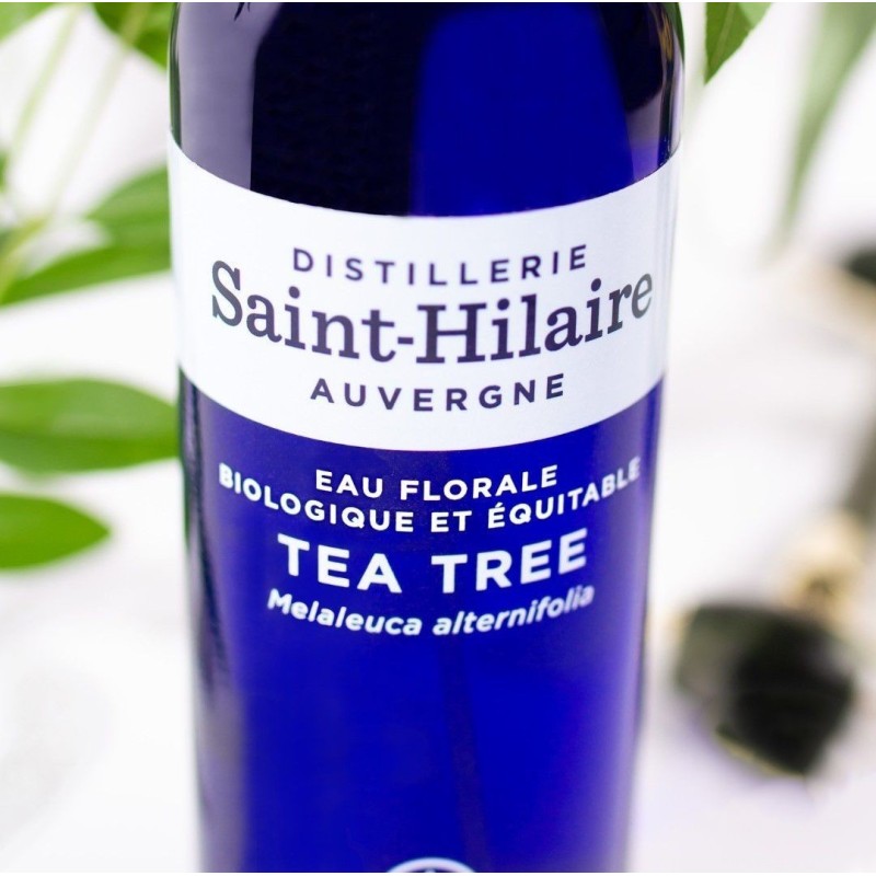 Hydrolat d'arbre à thé BIO (Tea Tree) - 200ml - Distillerie Saint