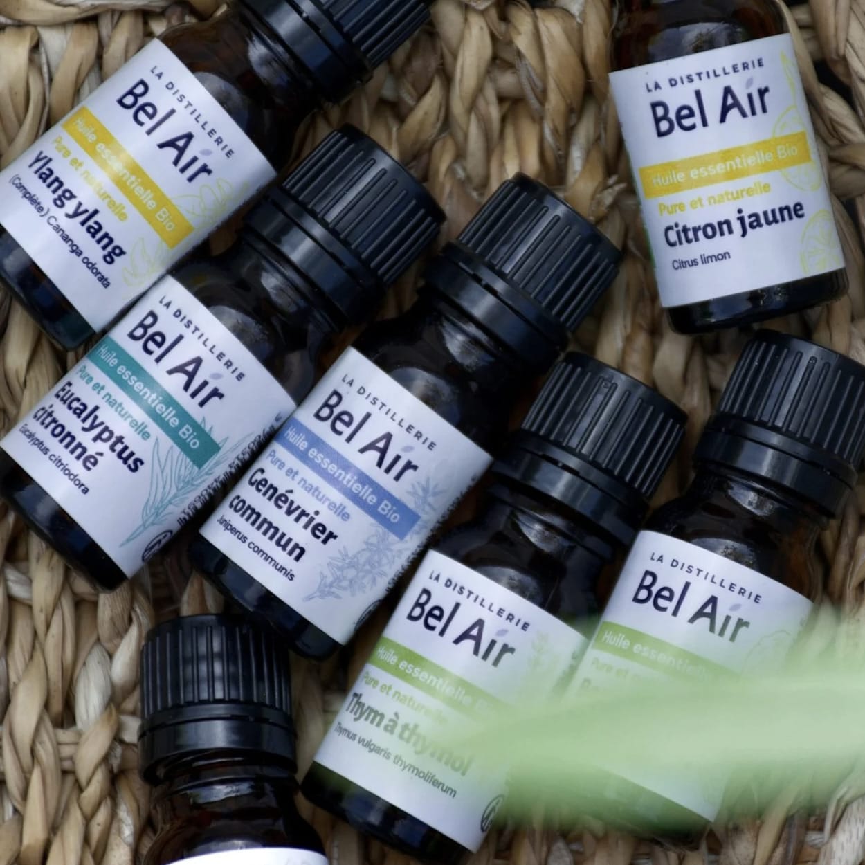 Huiles essentielles bio à diffuser, masser ou ingérer – Source Shop, sélection écoresponsable et artisanale