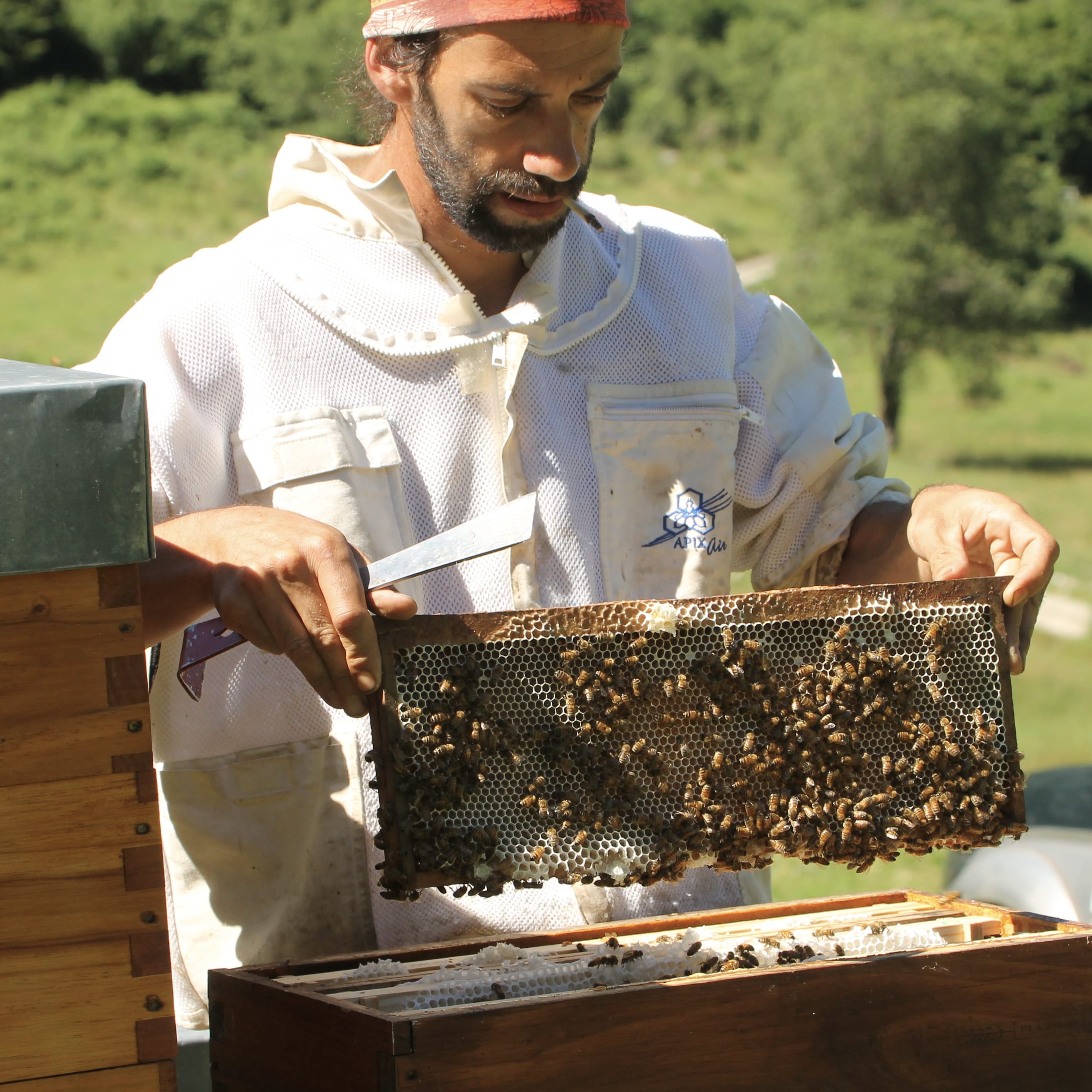 Épicerie vrac, locale et bio. Tisanes, miels, fruits secs et plus !