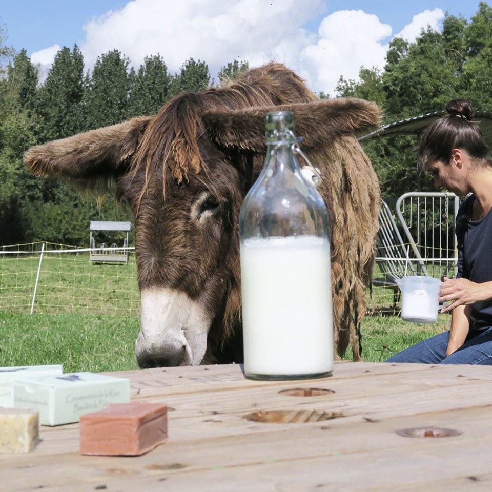 Savons bio artisanaux saponifiés à froid ou liquides - Lait de chèvre, lait d'ânesse, lait de jument