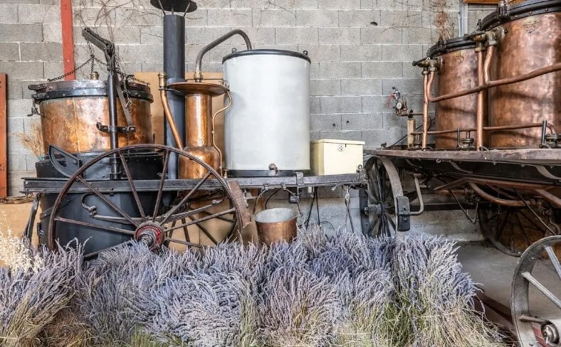 Distillerie des 4 Vallées : le spécialiste des plantes aromatiques bio
