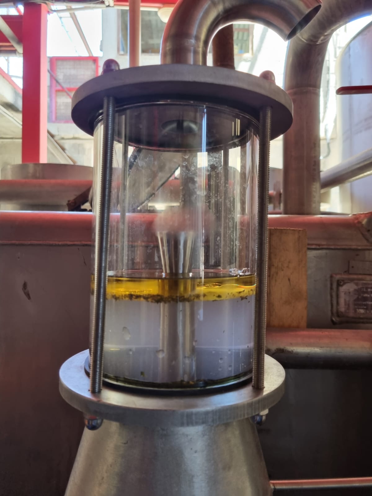 Séparation de l'huile essentielle et de l'hydrolat dans un essencier après distillation des plantes aromatiques Distillerie des 4 Vallées