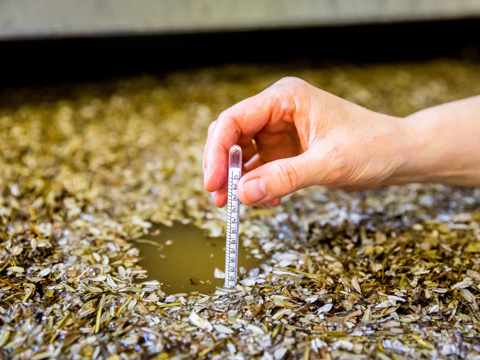 Fabrication traditionnelle de L'Eau d'Émeraude du Monastère Notre-Dame
