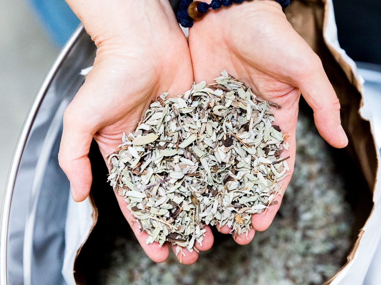 Sauge qui compose L'Eau d'Émeraude des Bénédictines de Notre-Dame du Calvaire à Bouzy-la-Forêt
