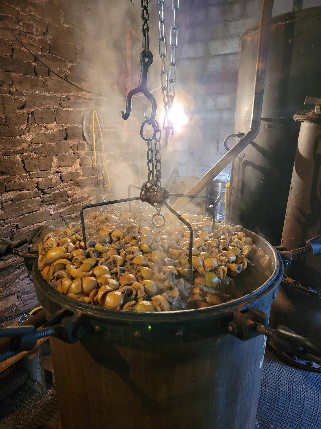 Distillation artisanale du citron bio par Élo'Distille