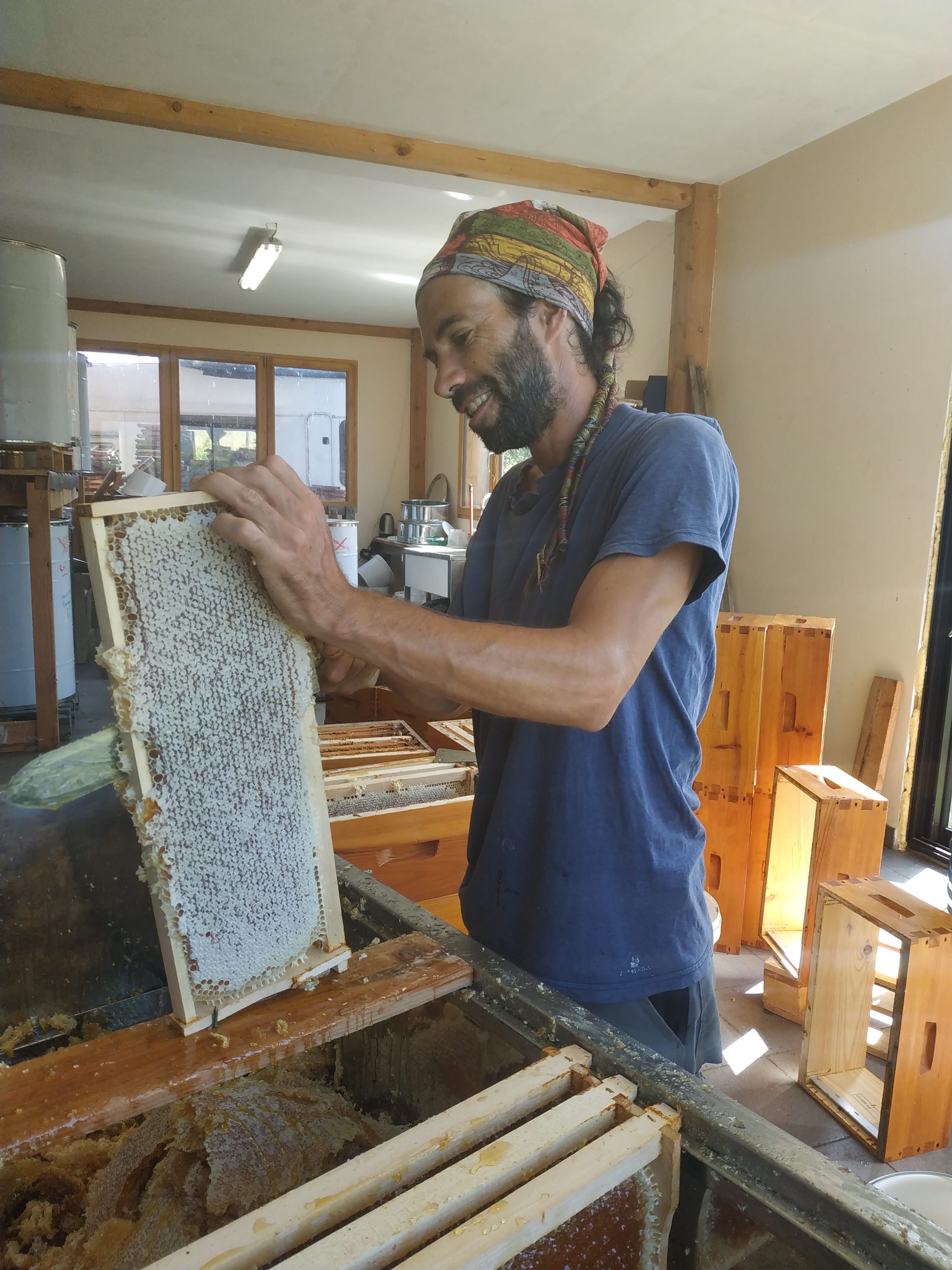 Extraction artisanale du miel brut non chauffé en Ariège