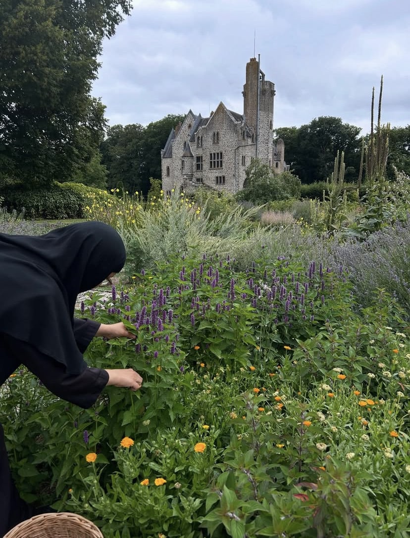Récolte des plantes bio Flori'Sain au Monastère de Bois Salair