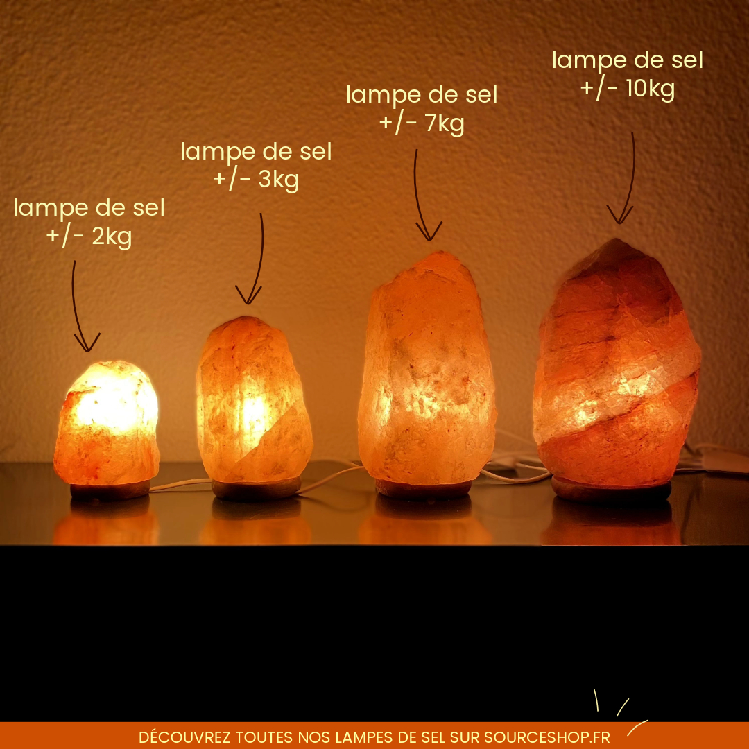 Lampes de sel de l'Himalaya brutes - différentes dimensions