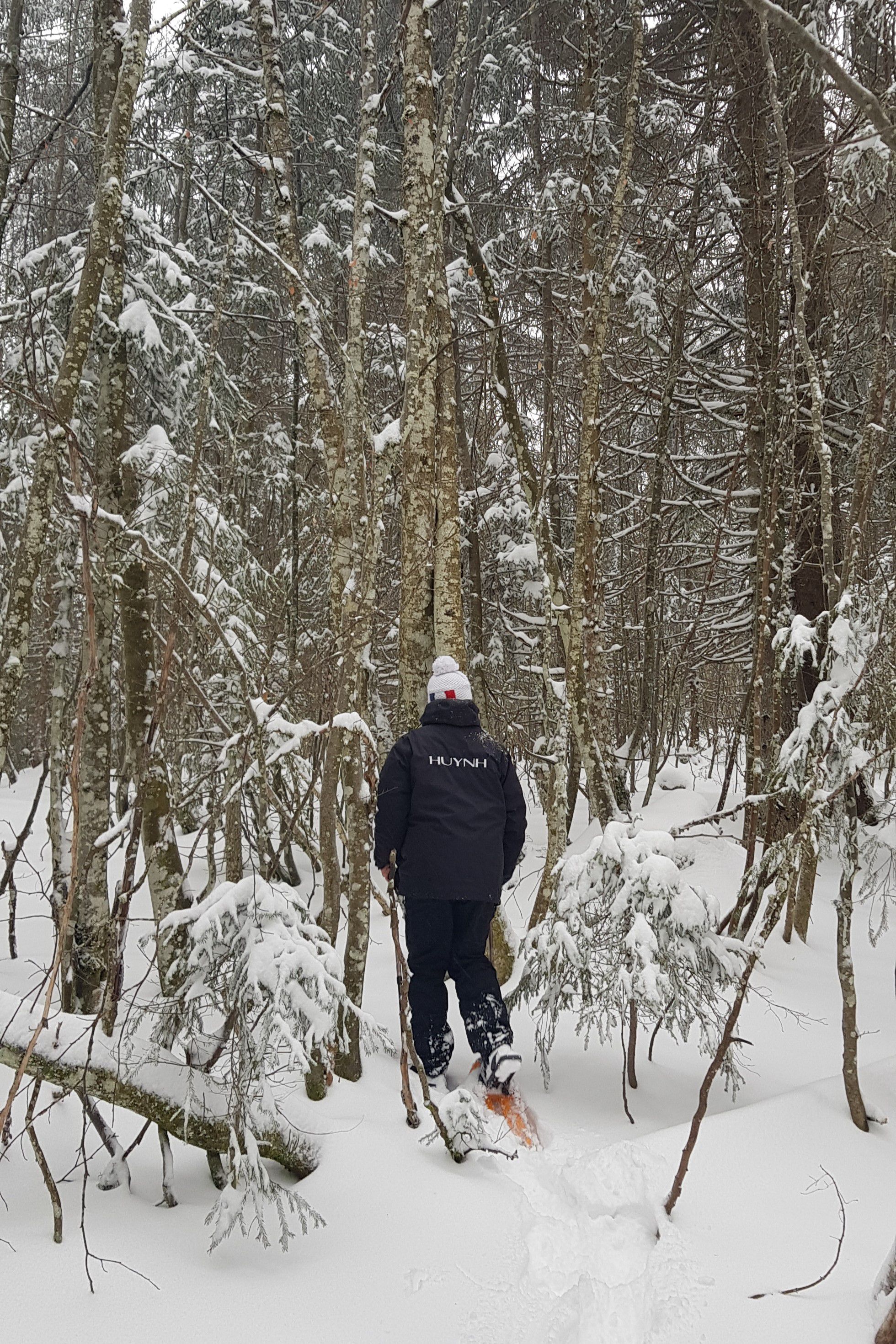 Raquettes de neige dans le Jura