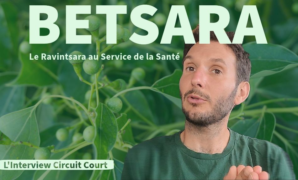 Betsara : Le Ravintsara au Service de la Santé