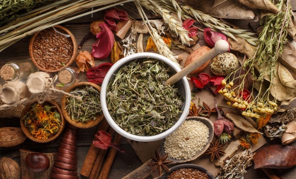 Comment renforcer son immunité naturellement : nos essentiels
