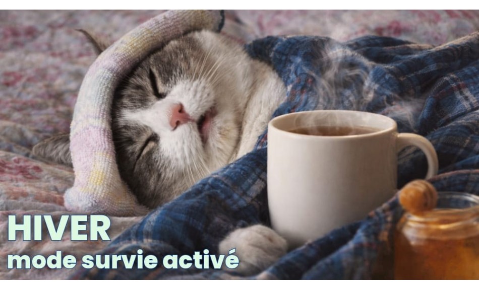 Soulager naturellement la toux en hiver : le guide de référence pour mieux respirer