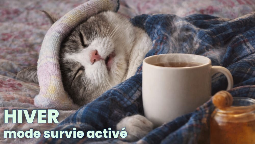 Soulager naturellement la toux en hiver : le guide de référence pour mieux respirer