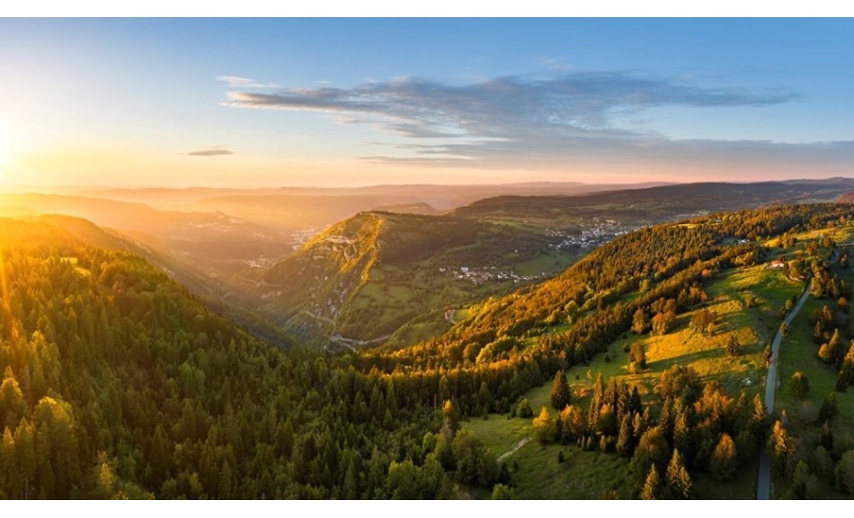 Le bois du Jura : l’histoire d’Olivier, d’un atelier familial et d’un savoir-faire vivant