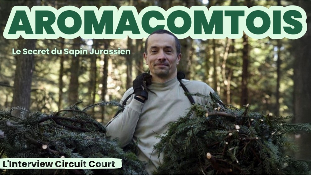 Aromacomtois : Le Secret du Sapin Jurassien