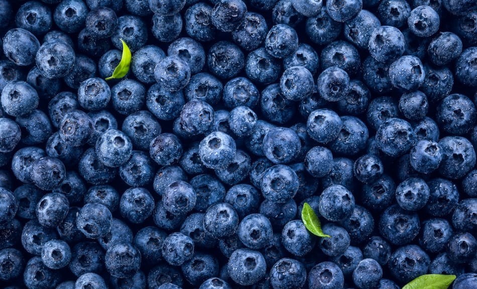 6 Aliments Qui Protègent le Cerveau et Boostent Mémoire et Concentration Naturellement