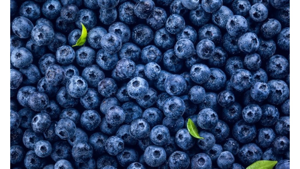 6 Aliments Qui Protègent le Cerveau et Boostent Mémoire et Concentration Naturellement